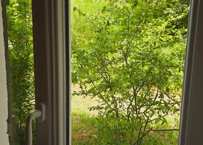 Vacances Castellane 3* Castellane